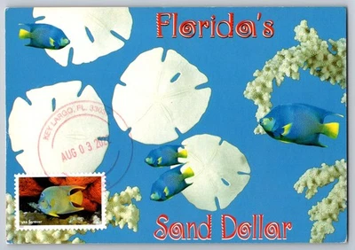 #5713i Marine Sanctuaries Queen Angelfish FDC Maxi Card w/Pre-FDOI Cancel - Image 1 of 2