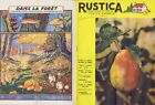 Rustica 39 23/09/1956 Poire Doyenne du comice Champignons de forêt