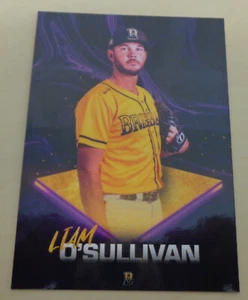2019/20 LIAM O'SULLIVAN - INSERT CARD - Somerset Patriots, Charros de Jalisco - Picture 1 of 2