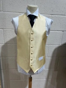 Gold striped waistcoat - Striped waistcoat - Gold Waistcoat - Picture 1 of 3