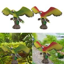 Realistic Parrot Figurines Miniature Macaw Ornament Hand Painted Boys Girls Bird