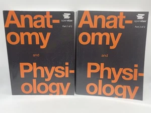 Anatomy and Physiology by OpenStax | Paperback | Volumes 1 & 2 - Picture 1 of 19