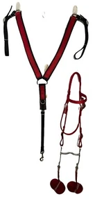 Horse Bridle and Breast Collar Handmade USA - Picture 1 of 12