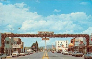 Postal de colección ELK HORN ARCH Street Scene AFTON, WYOMING Star Valley años 60 - Imagen 1 de 2