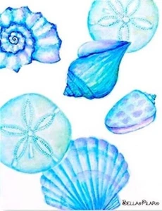 Papyrus Bella Pilar Sand Dollars & Sea Shells Blank Notecard Greeting Card - Picture 1 of 1