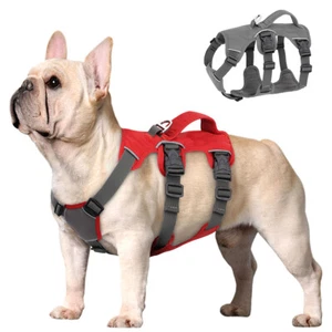Escape Proof Waterproof Dog Harness No Pull Reflective Outdoor Sport Vest Handle - Picture 1 of 28