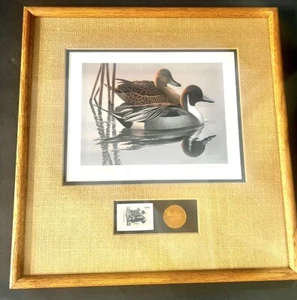 1983/84 Federal Duck Stamp Print framed Golden Edition Medallion Limited Pintail - Picture 1 of 15