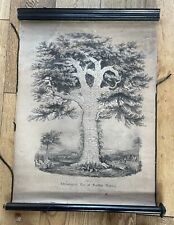 Rare Chronological Tree of Scottish History Hanging Scroll 25 x 18in  c1832.