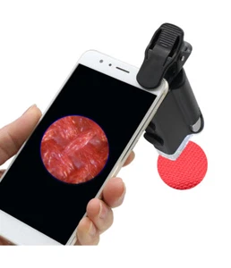 60X-100X Portable Handheld Microscope Illuminated Mobile Phone Magnifying Glass - Picture 1 of 12