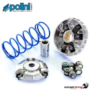 Variador de alta velocidad Polini para Peugeot Django 125/150 - Imagen 1 de 5