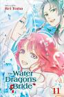 The Water Dragon's Bride, Vol. 11 By Rei Toma (English) Paperback Book