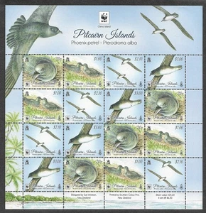 Pitcairn Islands Phoenix Petrel Min Sheet 2016 Birds MNH - Imagen 1 de 1