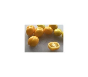 10x Tomate Plum Lemon Pflaumentomate süß würzig zitronig Samen B2331 - Picture 1 of 4