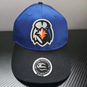 NWOT Aberdeen Ironbirds Minor League Baseball Hat OC SPORTS OSFM Cap Hat - Picture 1 of 7