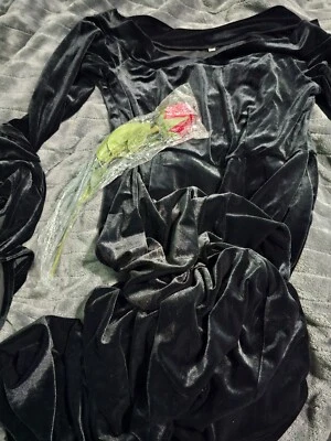 Women's Morticia Addams Cosplay Costume Gothic Black Long Dress Size L R128 - Image 1 of 4