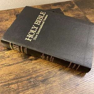 Vtg Holy Bible NIV Dictionary Concordance Red Letter With Helps Zondervan 1988 - Bild 1 von 6