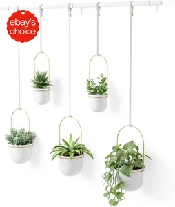 Large Triflora Hanging Planter Set 5pc White Brass Indoor Ceiling Decor Plant - Picture 1 of 12