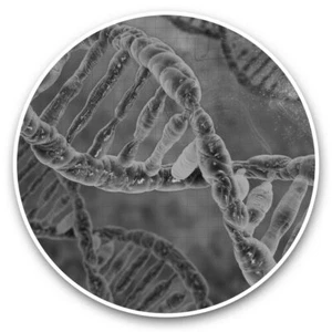 2 x Vinyl Stickers 15cm (bw) - Blue DNA Strand Science Biology #41572 - Photo 1/8