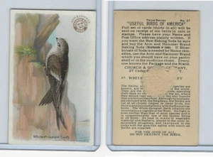 J7, Church & Dwight, Useful Birds America 3rd Ser., 1922, #27 White-t Swift - Bild 1 von 1