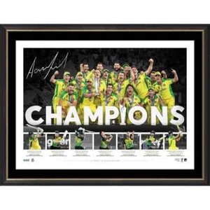 Australia ICC T20 World Cup Champions Official Signed Aaron Finch Litho Framed - Bild 1 von 1