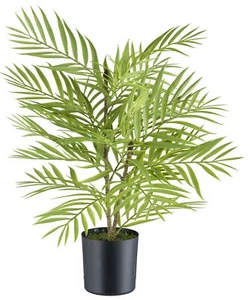 Arecapalme 20 Wedel, 48cm, grün im Kunststofftopf 10x10cm Kunstpflanze - Bild 1 von 1