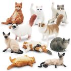 1pcs Cute Sleep Cat Pet Figures Animal Model Collector Decor Kitty Toy Kid Gift;
