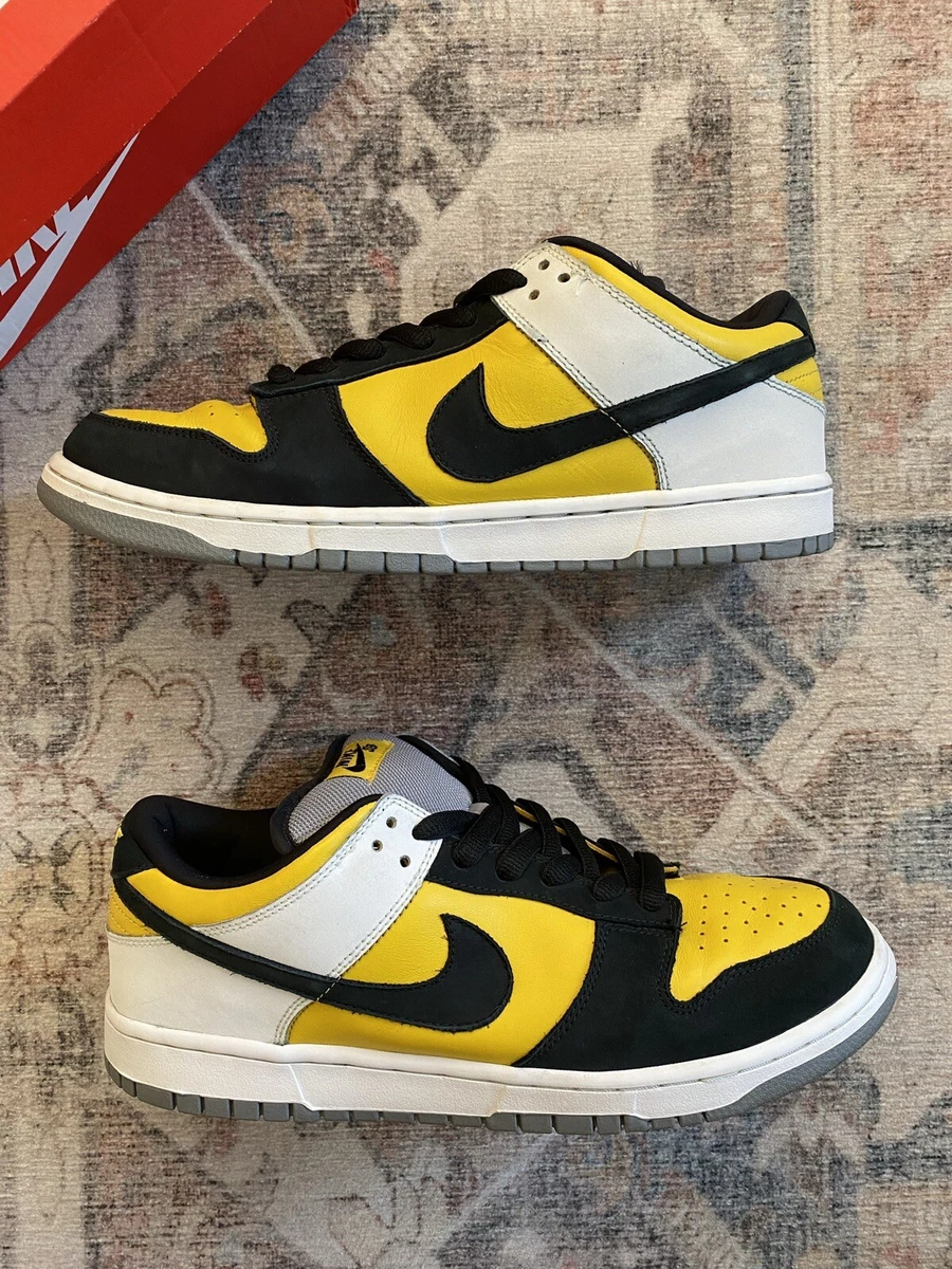Nike Dunk Pro SB Low Bic for Sale | Authenticity Guaranteed | eBay