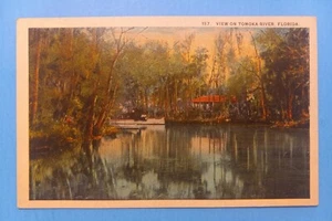 View On Tomoka River Florida Antique Postcard Unused EXC - Picture 1 of 2