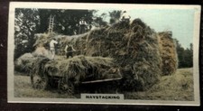 Tobacco Card, Cavanders, CAMERA STUDIES, 1926, Std, Haystacking, #39