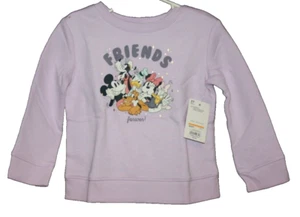 Disney Friends Minnie Micky Mouse Donald Pluto Purple Sweatshirt Size 3T NEW NWT - Picture 1 of 2