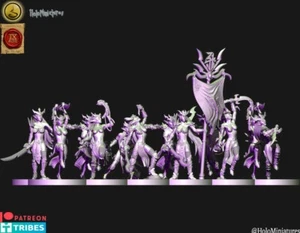 Dark elf witches unit Wargames - 9th age - dnd - tabletop gaming - old world - Imagen 1 de 15