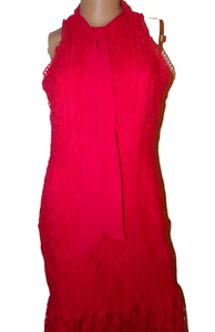 NUEVO CON ETIQUETAS VESTIDO DE SIRENA MIDI DE ENCAJE ROJO FRAMBUESA Anthropologie talla 4 - Imagen 1 de 13