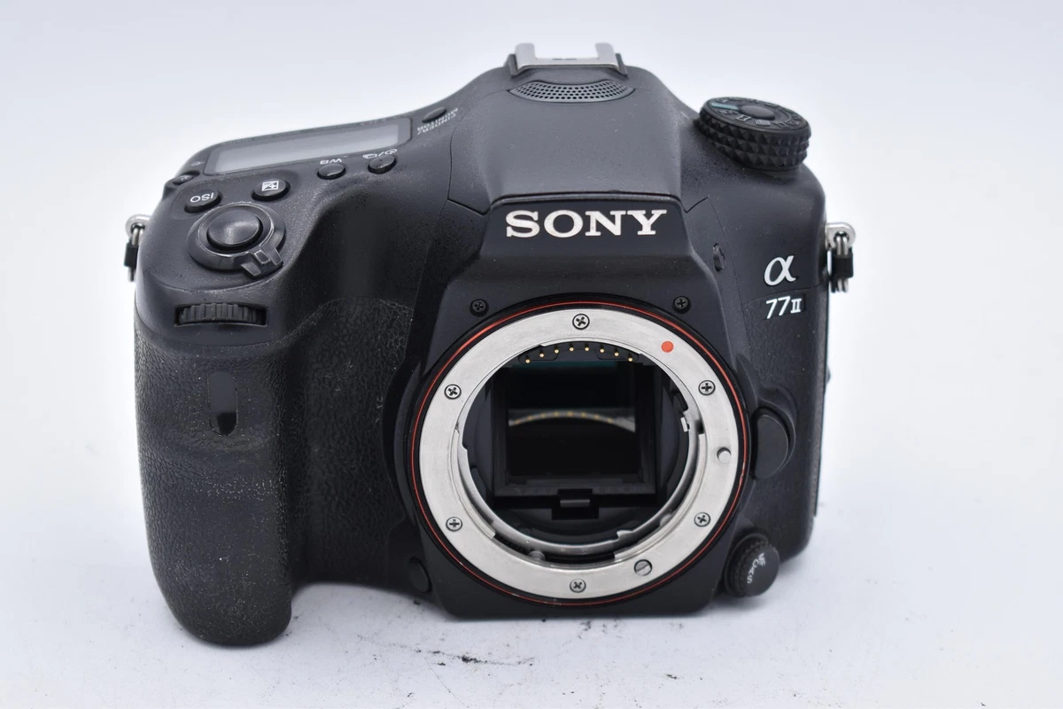 Sony A77II 20-29.9MP Digital Cameras for Sale | Shop New