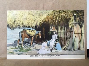 Vintage Cuba Postcard, The Babies' Feeding Time, circa 1908 - Picture 1 of 4