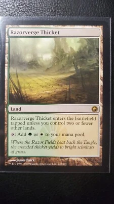 Razorverge Thicket 228/249 NM MTG Scars Of Mirrodin Series  - Image 1 of 2