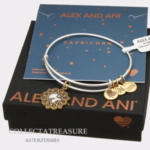 Authentischer Alex und Ani zweifarbiger CAPRICORN RG/RS erweiterbarer Armreif  - Bild 1 von 1