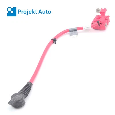 Cable de batería 10-19 OEM BMW positivo con poste 9217036 F10 E82 F13 F06 F12 F07 Foto 1 de 4
