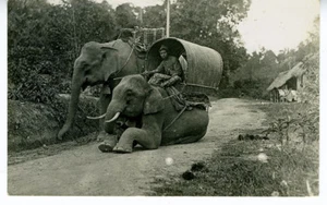 Postal RPPC de la década de 1940 hombre sobre elefante de Singapur - Imagen 1 de 1