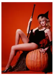 FOTOGRAFIA MORGAN FAIRCHILD 5"X7" - Foto 1 di 1