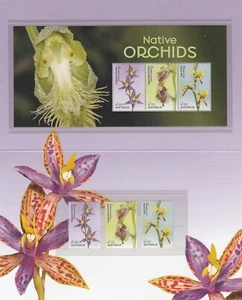 AUSTRALIA 2025 NATIVE ORCHID set & Minisheet both MNH in PO Stamp Pack - Flowers - Picture 1 of 3