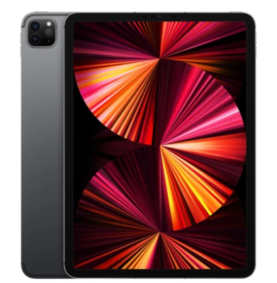 Apple iPad Pro 11" (2021) 3.Gen 256GB A2459 Cellular 5G Spacegrau WoW Sehr Gut - Bild 1 von 4