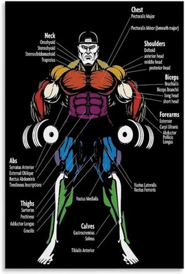 Motivational Bodybuilding Poster Gym Fitness Wall Art Print Noframe - Image 1 of 4