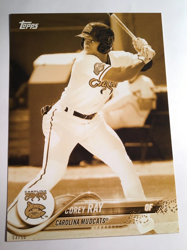 2018 Topps Pro Debut Jumbo 5x7 Corey Ray Mudcats 151 Gold 03/10 - Image 1 of 1