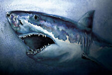Shark Artistic Drawings Picture Chart Animals Art Wall Art Home - POSTER 20"x30"