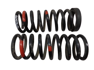 73-80 Mercedes 450SL R107 Juego de muelles helicoidales de aire trasero izquierdo derecho OEM AK250628 Foto 1 de 4