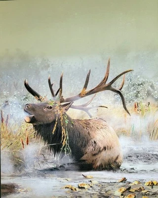 Pintura acrílica y al óleo original pintada a mano, alce sobre lienzo - caza/naturaleza   Foto 1 de 4