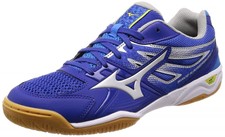 fake mizuno shoes
