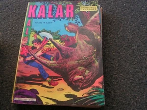 BD   kalar n 223  (bdm caramel  1700) - Imagen 1 de 1