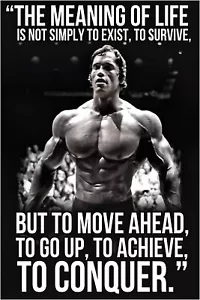 Arnold Schwarzenegger Poster Bodybuilding Motivational Quotes Art Canvas Poster - Picture 1 of 4