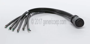 SOCAPEX  19 PIN -  3FT to blank end  BREAK-IN Breakin - Picture 1 of 1